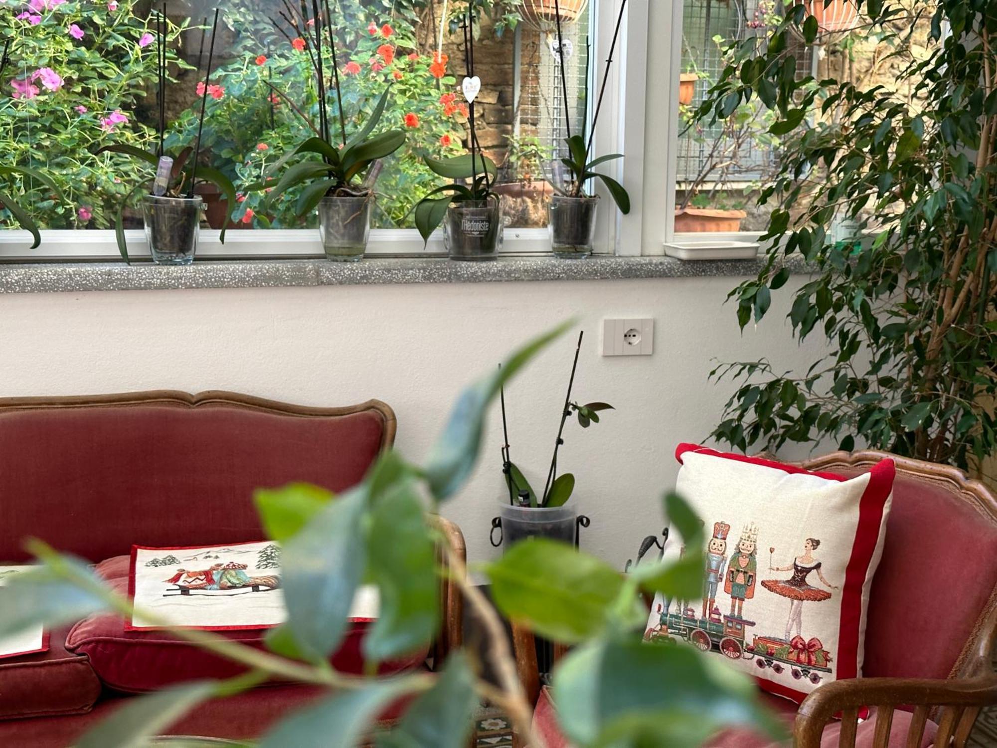 Domus Socolatae Residenza D'Epoca Charming B&B - Adults Only Follonica Kültér fotó